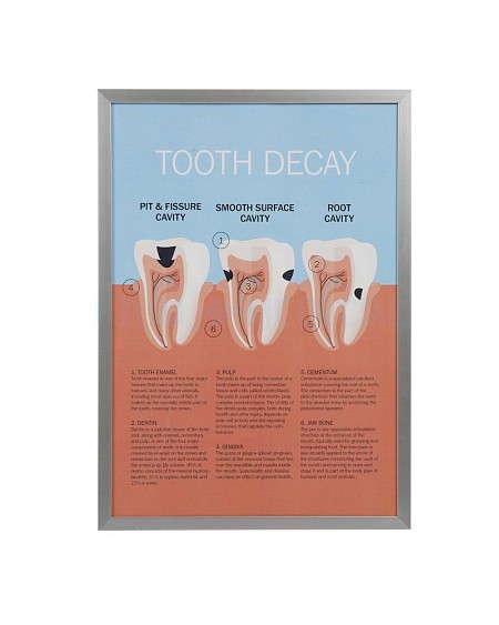 Dental Poster Generic